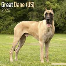 Great Dane (US) Calendar 2020