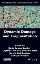 Dynamic Damage and Fragmentation