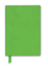 Spring Green Artisan Notebook (Flame Tree Journals)