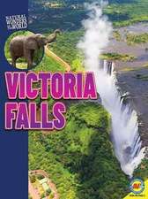 Victoria Falls