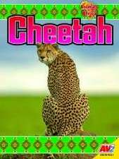 Cheetah