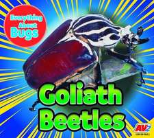 Goliath Beetles