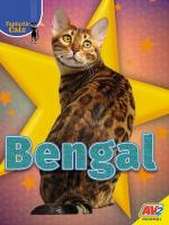 Bengal