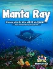 Manta Ray