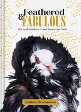 Feathered & Fabulous