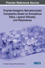 Polymer-Inorganic Nanostructured Composites Based on Amorphous Silica, Layered Silicates, and Polyionenes