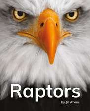 Raptors