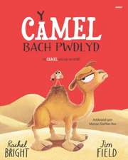 Y Camel Bach Pwdlyd / The Camel who had the hump