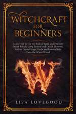 Witchcraft for Beginners