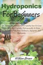 Hydroponics for beginners