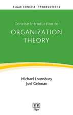 Concise Introduction to Organization Theory – From Ontological Differences to Robust Identities