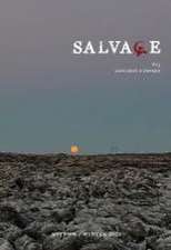 Salvage #13