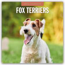 Fox Terriers - Foxterrier 2025 - 16-Monatskalender