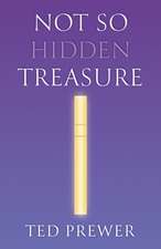 Not So Hidden Treasure