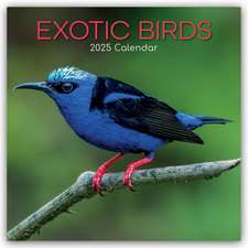 Exotic Birds - Exotische Vögel 2025 - 16-Monatskalender