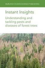 Instant Insights