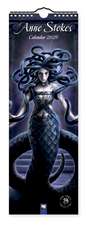 Anne Stokes Slim Calendar 2026 (Art Calendar)