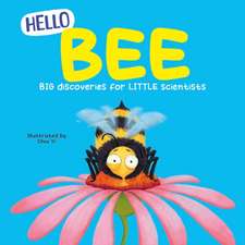 Hello Bee