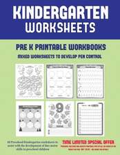 Pre K Printable Workbooks (Mixed Worksheets to Develop Pen Control)