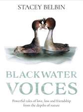 Belbin, S: Blackwater Voices