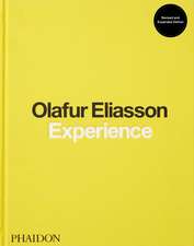 Eliasson, O: Experience