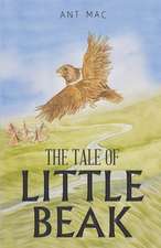 The Tale of Little Beak