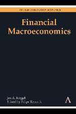 Financial Macroeconomics