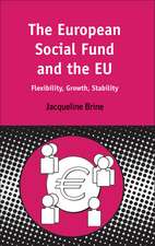 European Social Fund and the EU: Flexibility, Growth, Stability