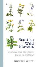 Scottish Wild Flowers