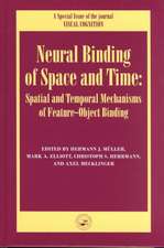 Neural Binding of Space and Time: Spatial and Temporal Mechanisms of Feature-object Binding: A Special Issue of Visual Cognition