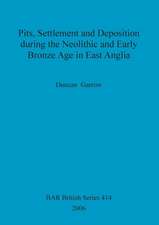 Pits, Settlement and Deposition during the Neolithic and Early Bronze Age in East Anglia