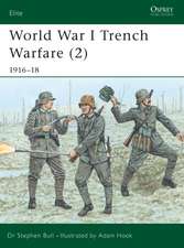 World War I Trench Warfare (2): 1916–18