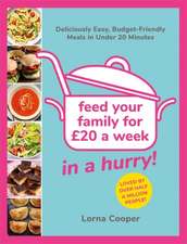 Feed Your Family For £20...In A Hurry!