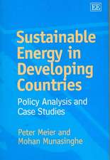 Sustainable Energy in Developing Countries – Policy Analysis and Case Studies