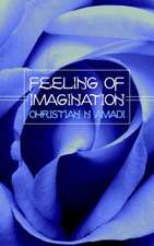 Feeling of Imagination