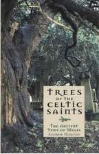 Trees of the Celtic Saints The Ancient Yews of Wales