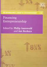 Financing Entrepreneurship