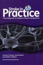 Stroke in Practice: From Diagnosis to Evidence-Based Management