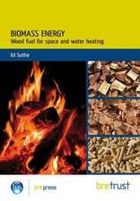 Biomass Energy: Wood-Based Fuels for Space and Water Heating