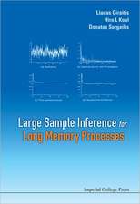 Large Sample Inference for Long Memory Processes