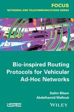 Bio–inspired Routing Protocols for Vehicular Ad–Hoc Networks