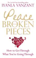 Vanzant, I: Peace From Broken Pieces