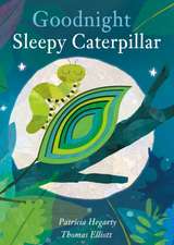 Hegarty, P: Goodnight Sleepy Caterpillar