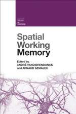 Spatial Working Memory