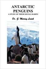 Antarctic Penguins