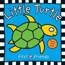 Priddy, R: Little Turtle