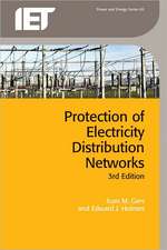 Protection of Electricity Distribution Networks