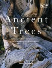 ANCIENT TREES