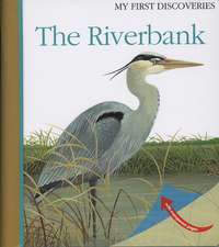 The Riverbank