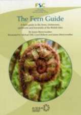 The Fern Guide